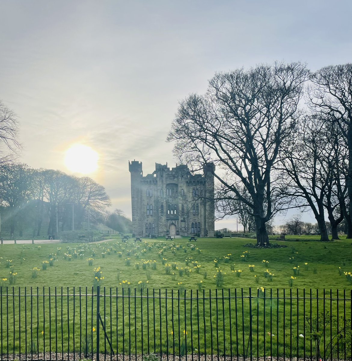 devereux1655's tweet image. Got up really early and went out walking- watched the sun coming up over the castle- saw rabbits frolicking and squirrels foraging- a good was to start a Saturday #walking #castles #rabbits #birdsong  🏰🐿️🦅🦆🦜🐇🐰☀️🌞🌳