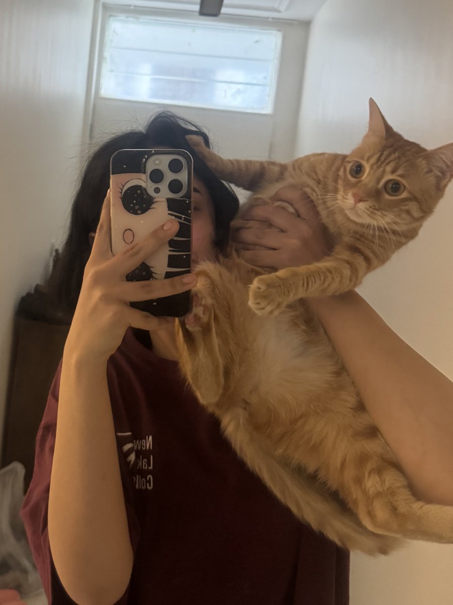 پرنسس. tweet media