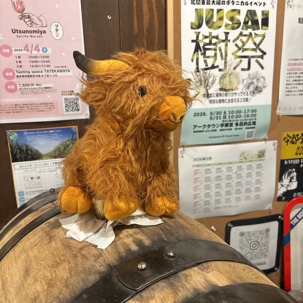 TM_WEBSHOP's tweet photo. 宇都宮スピリッツプチマルシェ2、大盛況のうちに終了いたしました！しかしまだまだ終わらないムラータとの旅。ここからまた、移動します！舘河屋さま、お世話になりました！！ https://t.co/zPanP2GmUI