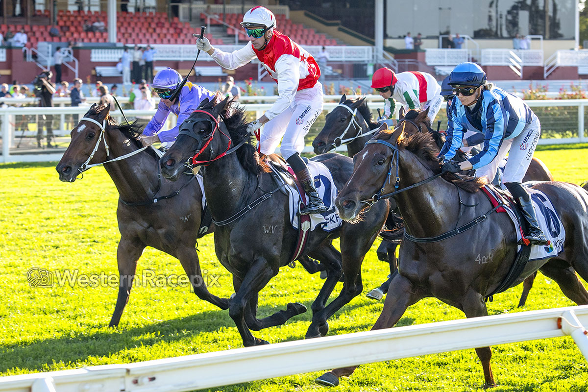 WesternRacepix's tweet photo. ROPE THEM IN - 2026 PKF Roma Cup (Group 3) @PerthRacing #WesternRacepix #GiddyUpAscot #ItalianDay
More ๐ธโ https://t.co/XhRFkk00xX https://t.co/WzFuRI0VX7