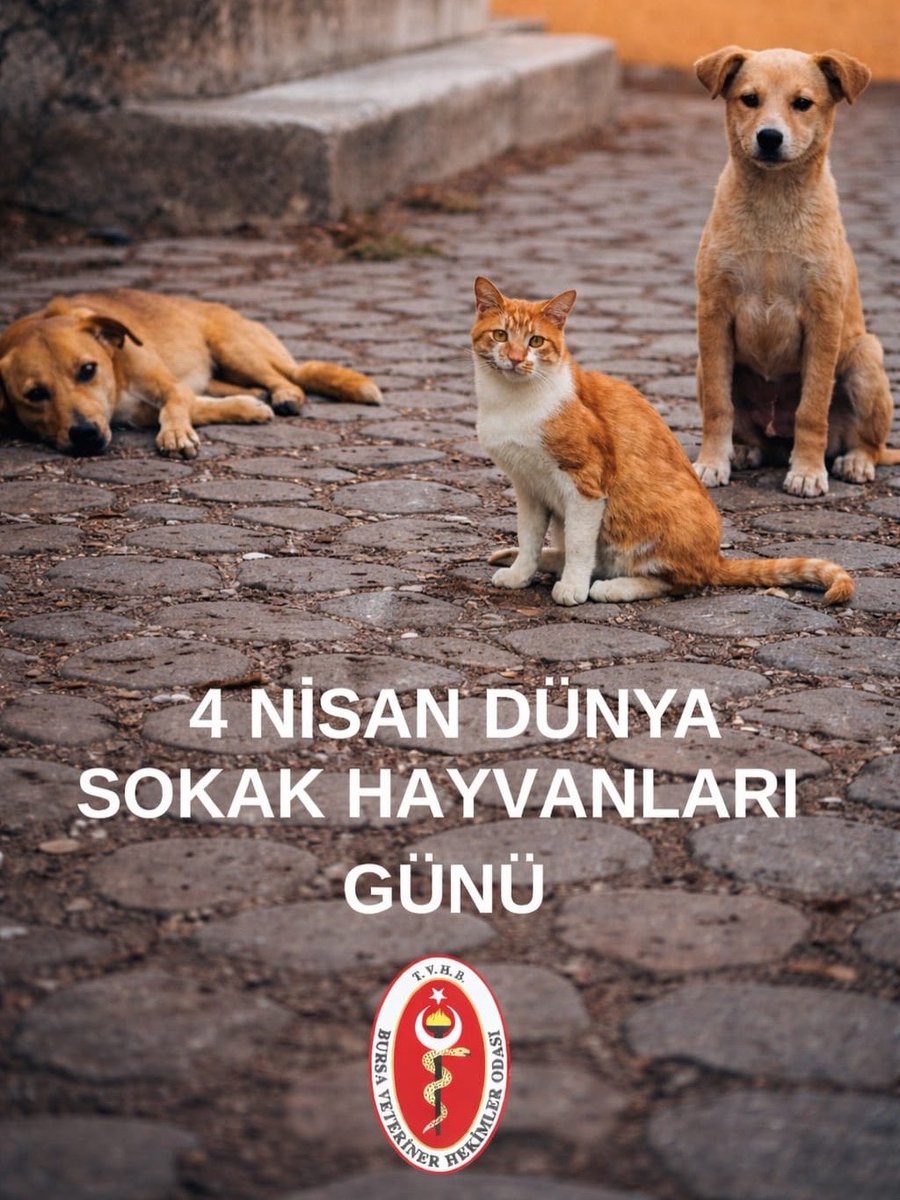 Bursa Veteriner Hekimler Odası tweet media