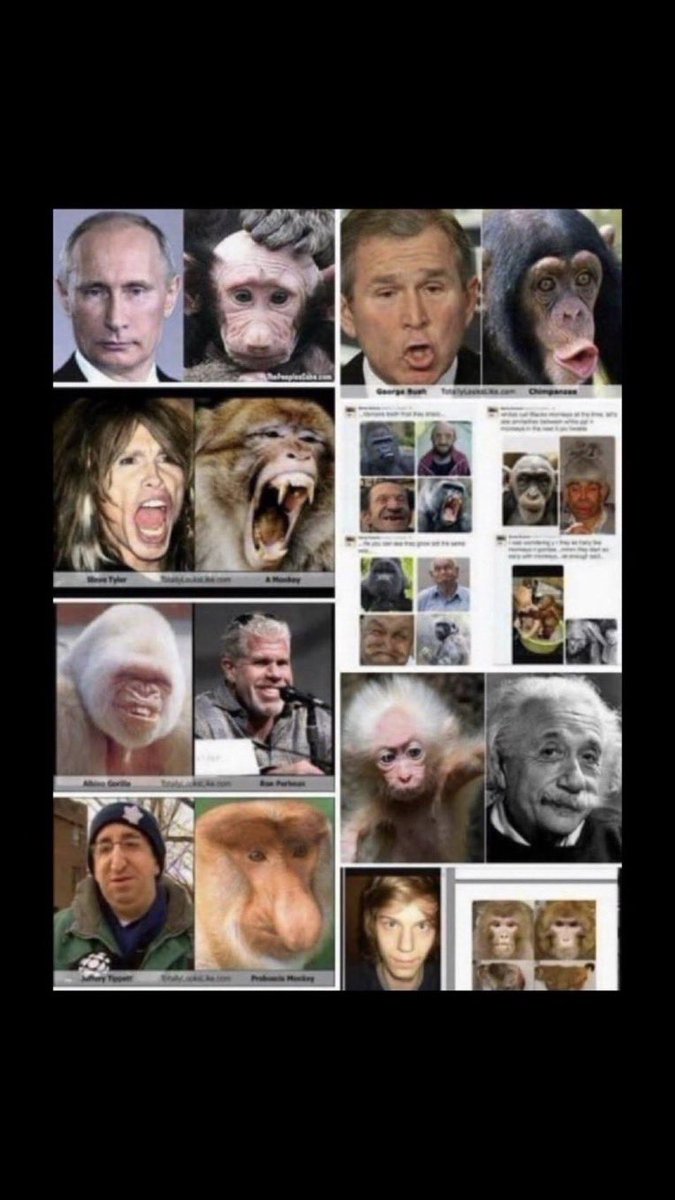 😎twelve_12😎 tweet media