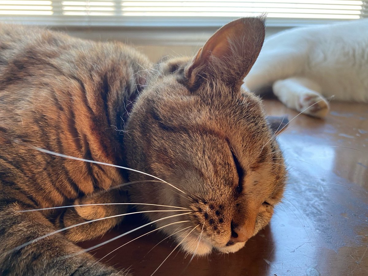 Yuko Sasaki tweet media