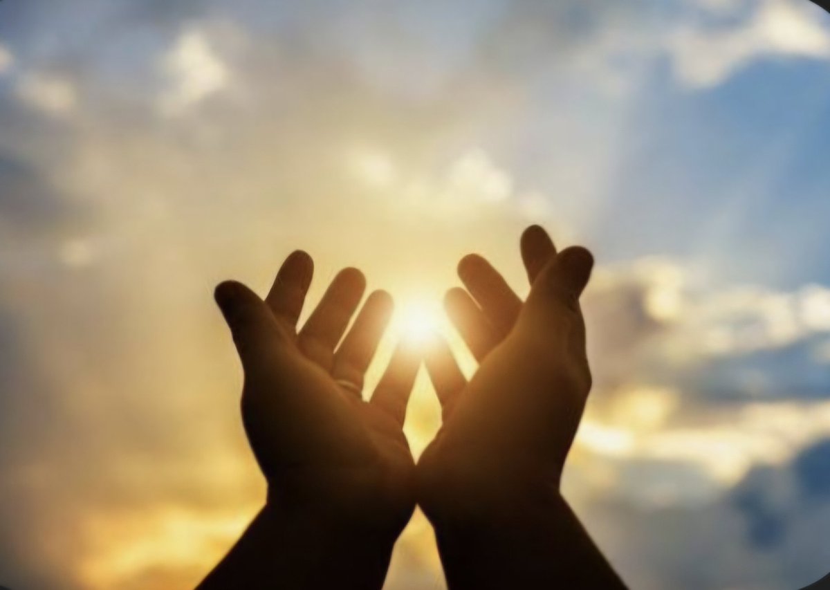 Klar Name 🐝Sumsibrumm 🐝 tweet media