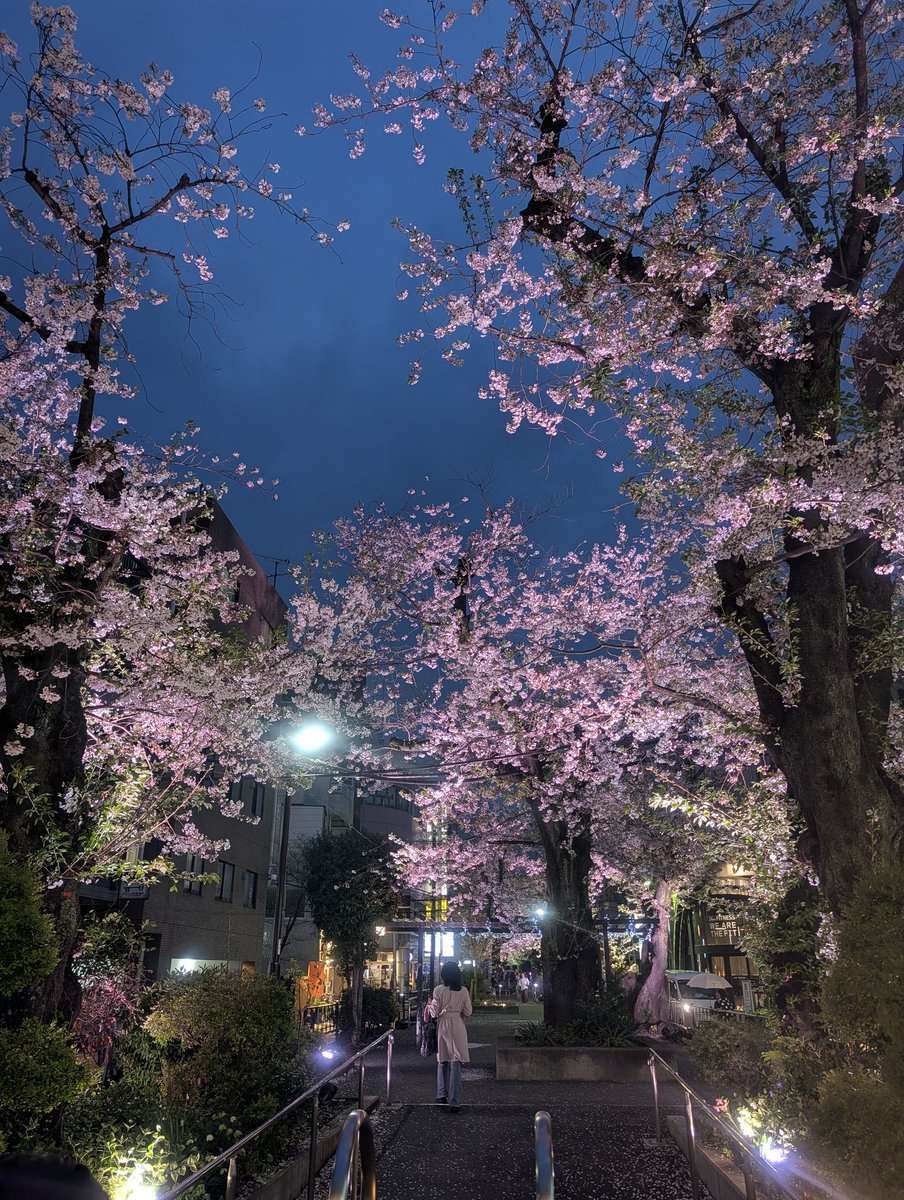 のりりん tweet media