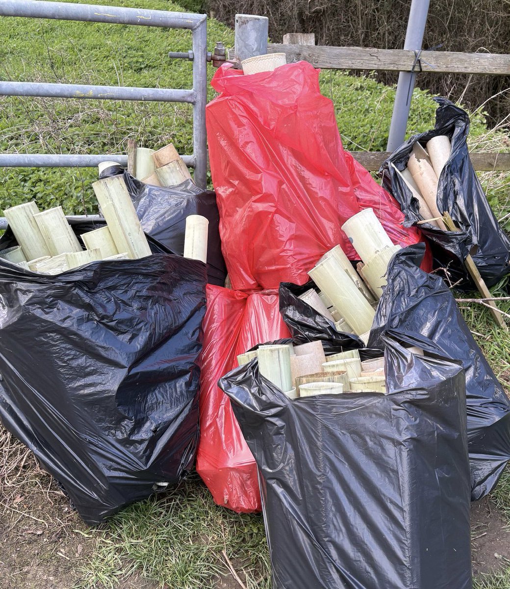 Mark Williamson tweet media