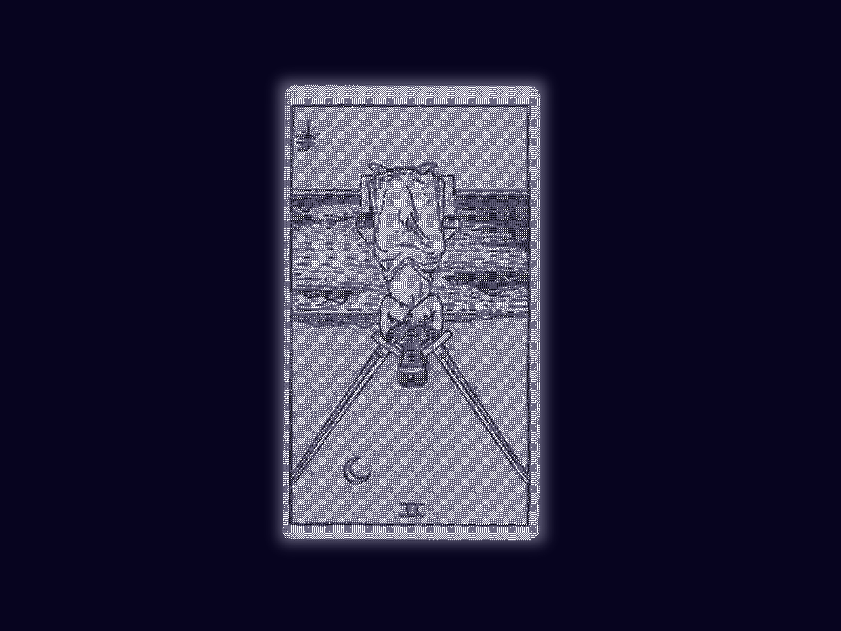 THE 𖦹RACLE tweet media