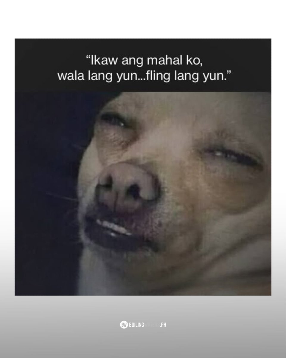 Boiling Waters tweet media