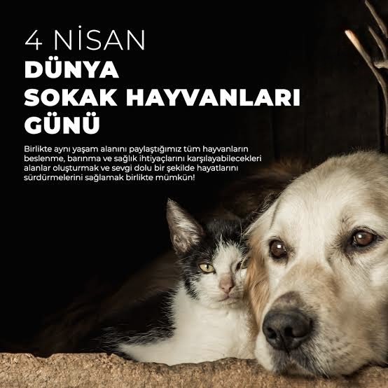 Münir the yargi machine ve ailesi tweet media