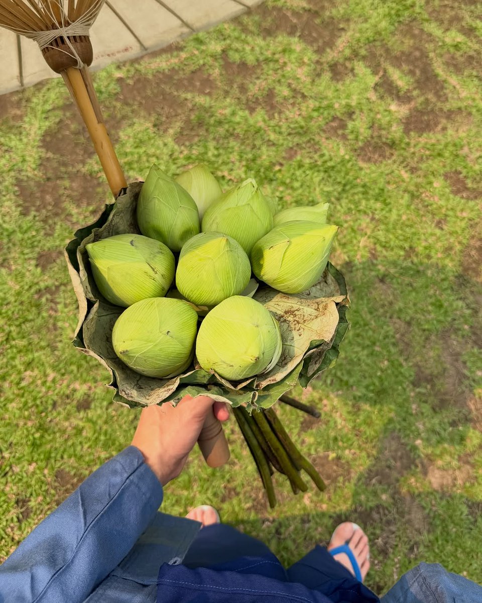 JamesSu JFC tweet media