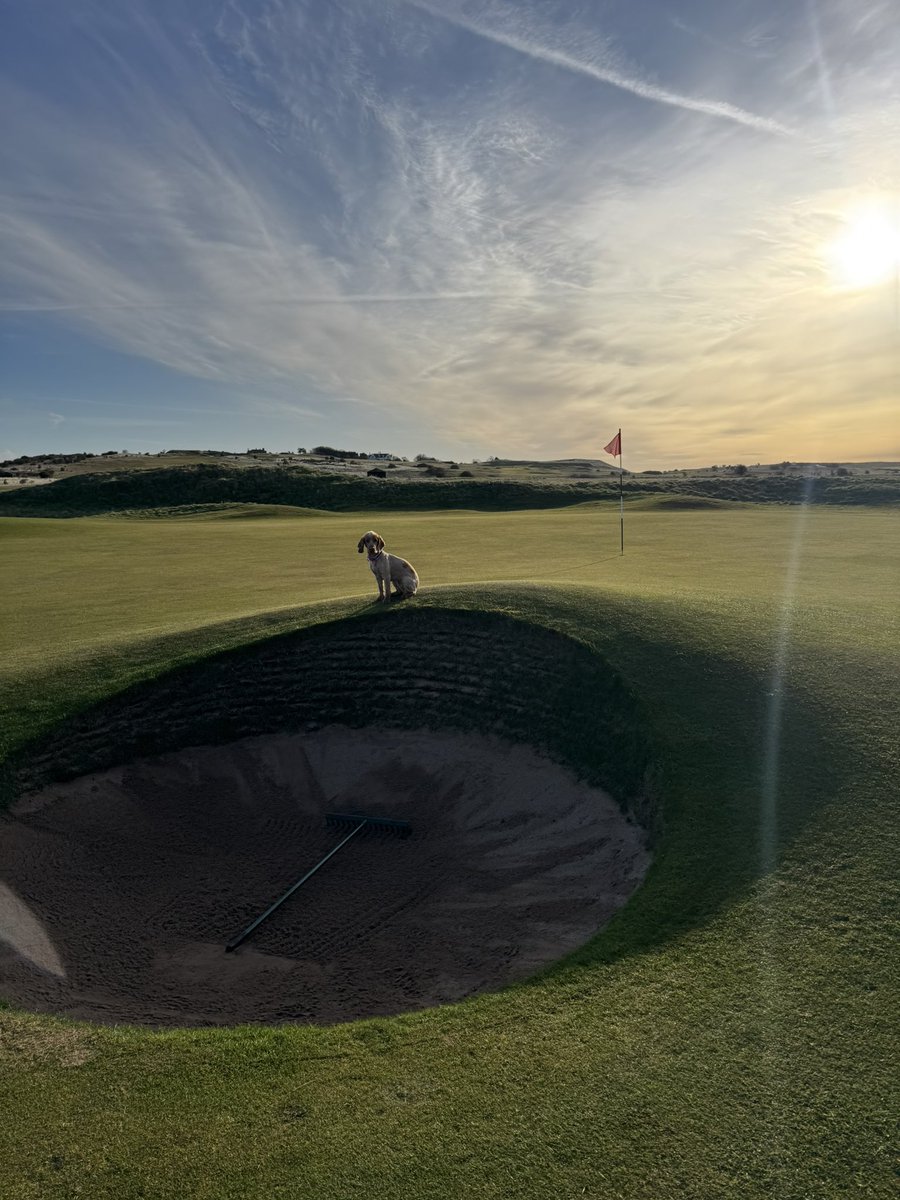 Paul Armour tweet media