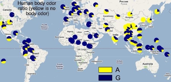 Shanliren tweet media