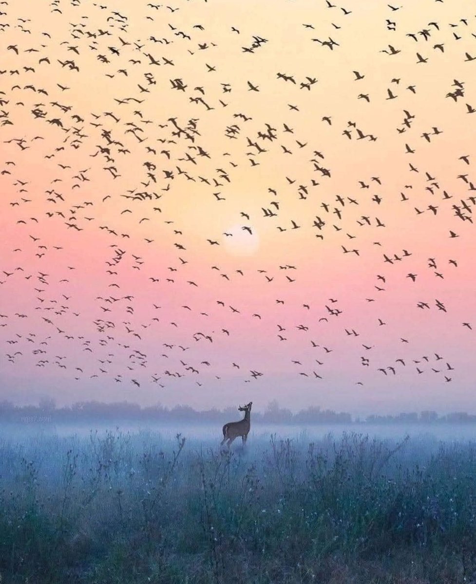 Angie.C. tweet media