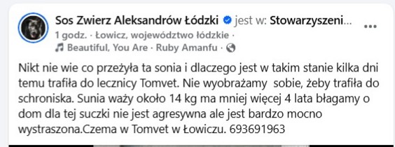 Robwalka Wolf tweet media