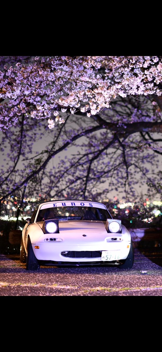 としぼー🍟 tweet media