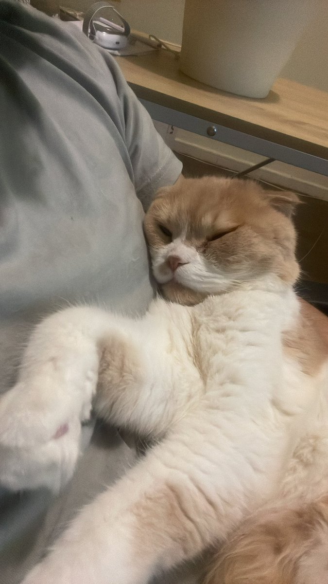 Mathias Cronqvist tweet media