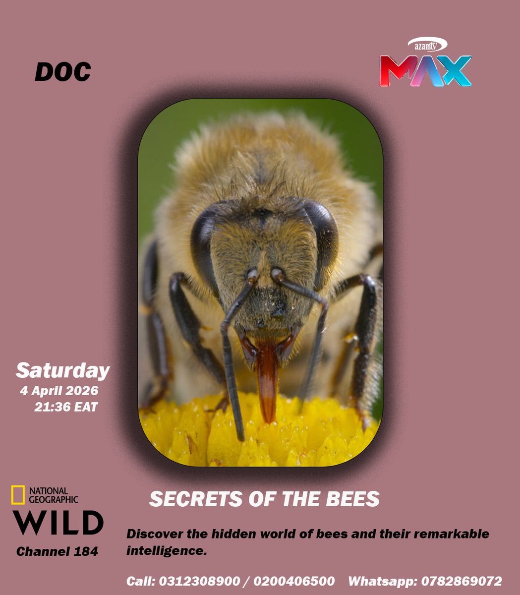 Azamtv_ug tweet media