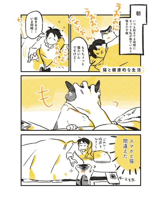 3/6
猫と健康的な生活 