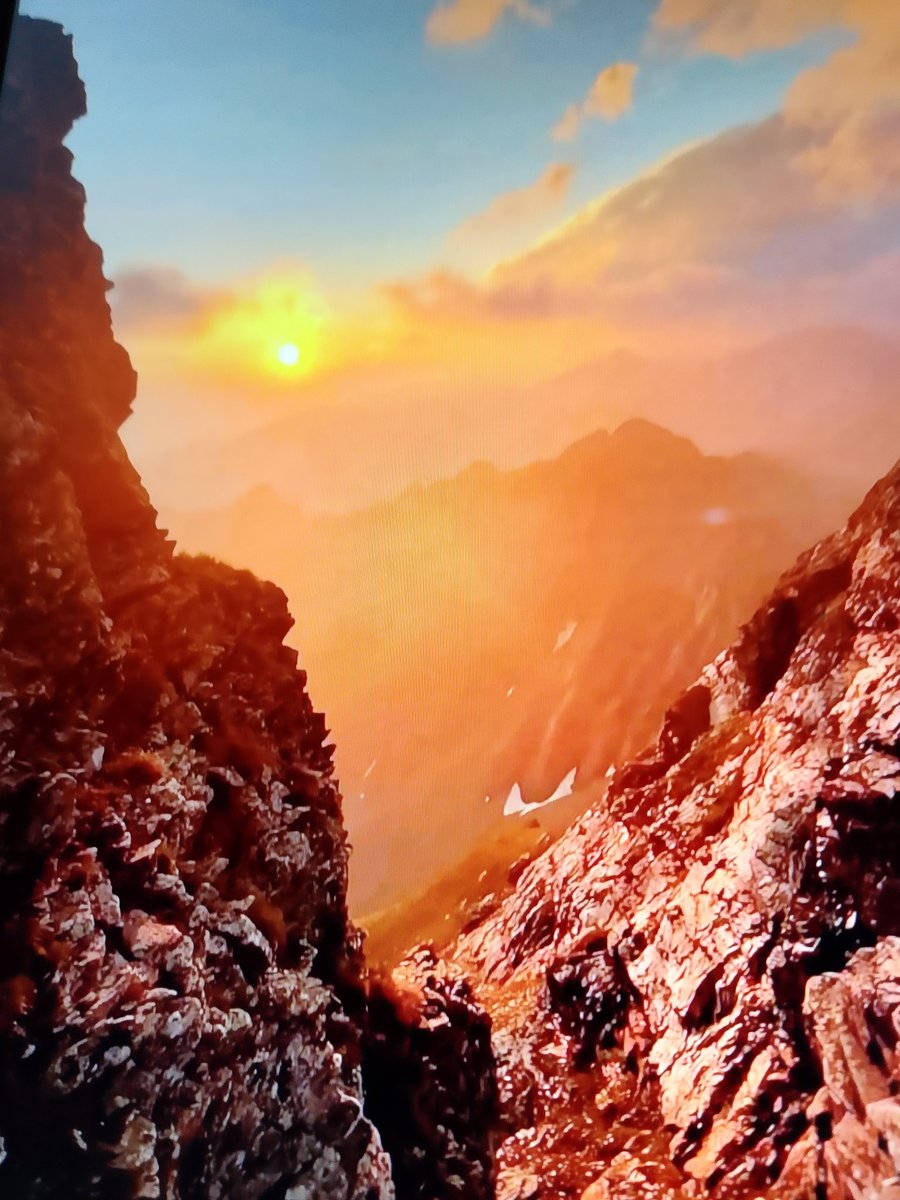 pablito Gianni tweet media