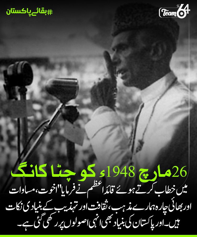 Palwasha Afridi tweet media