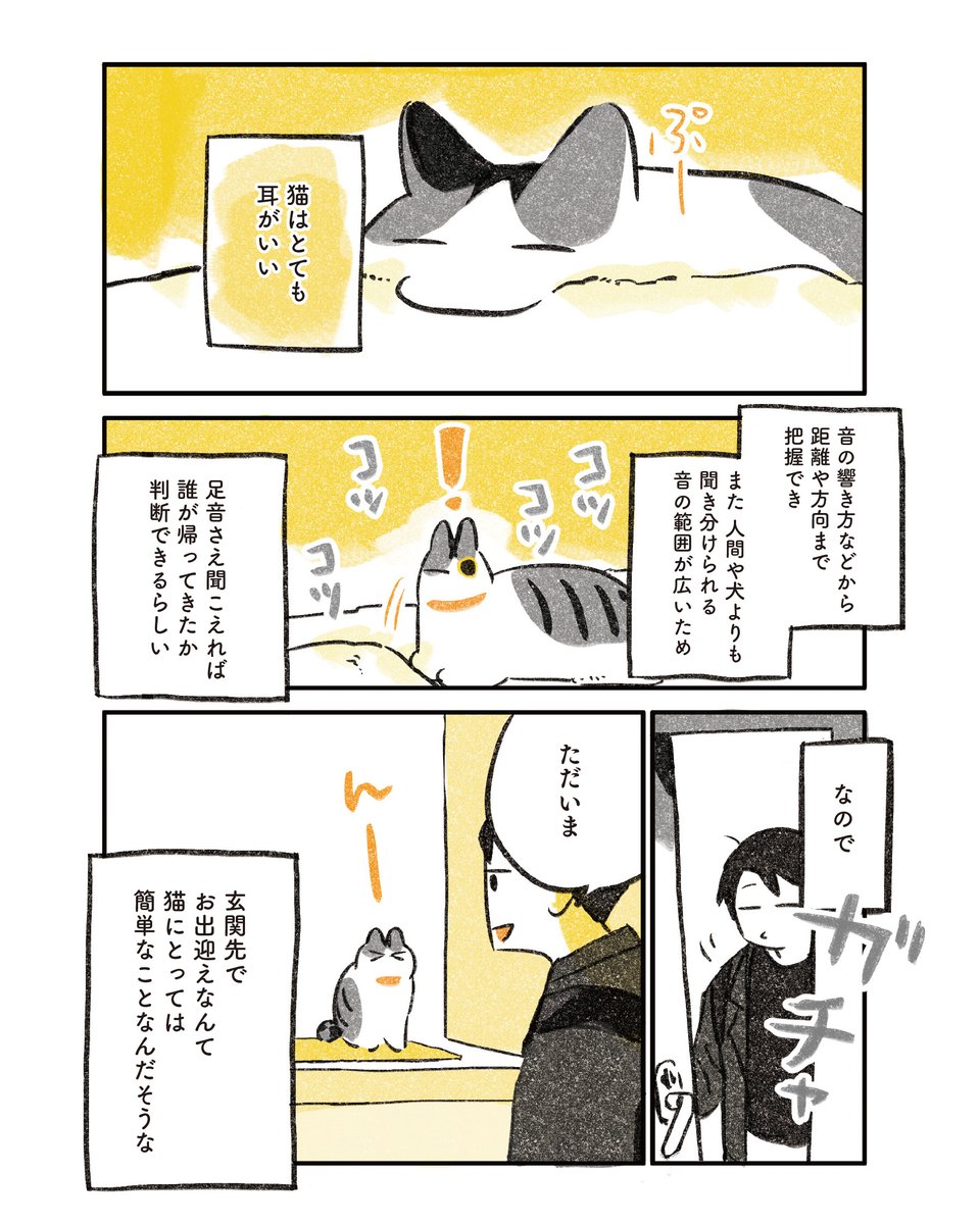 4/6
玄関で出迎えてくれる猫に対抗 