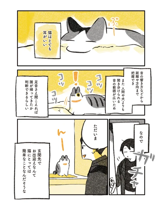 4/6
玄関で出迎えてくれる猫に対抗 