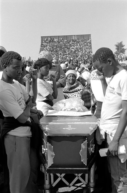 History ZAR tweet media