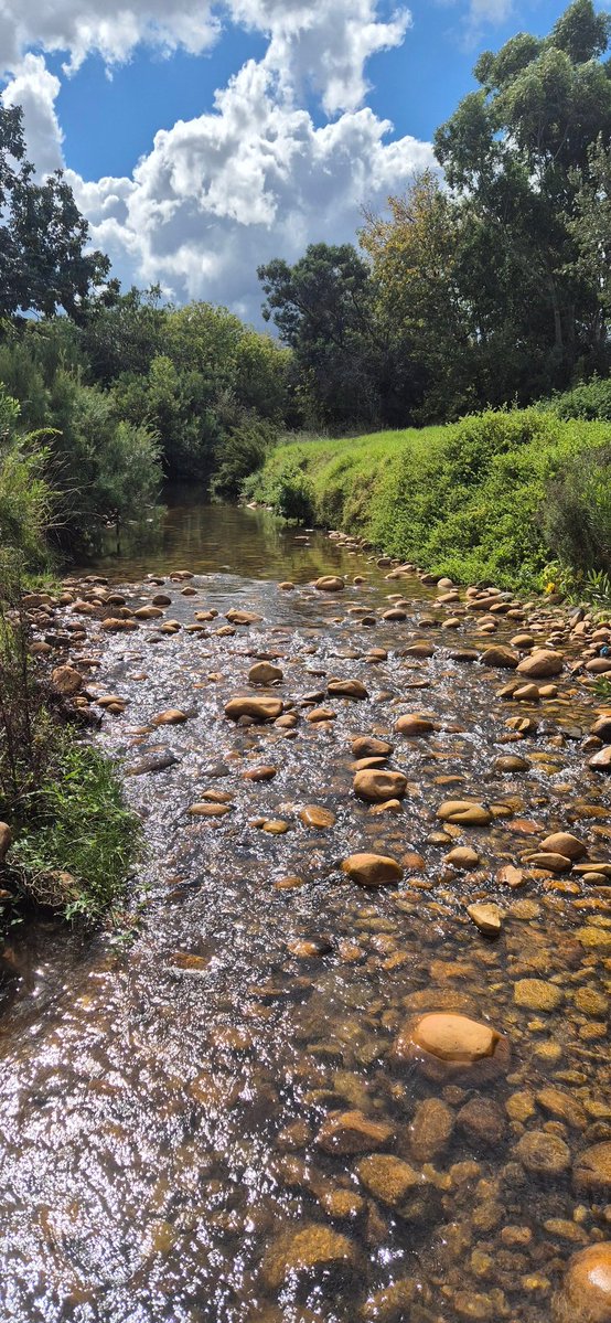 Peter Bee 🐝 tweet media