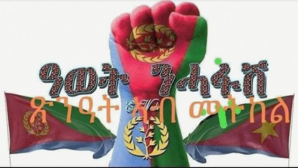 Seble Ephrem tweet media