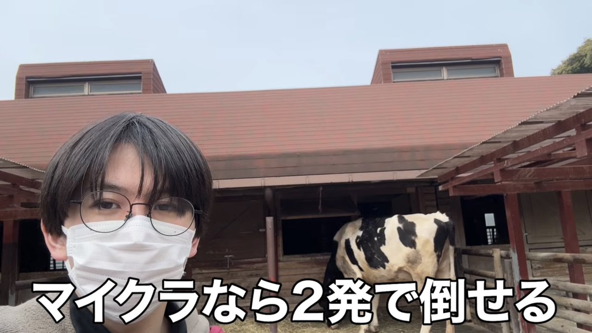 ふじもと🎀 tweet media