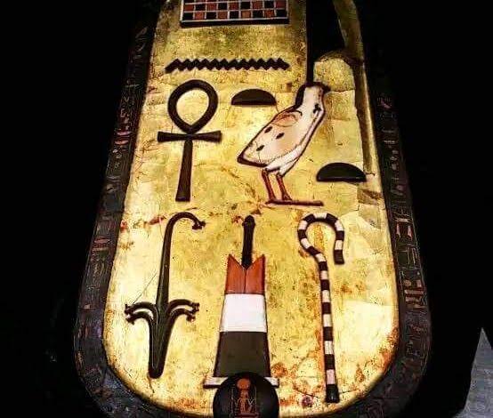 𓂀 Nefertiti : Nile Tales 𓅓 tweet media