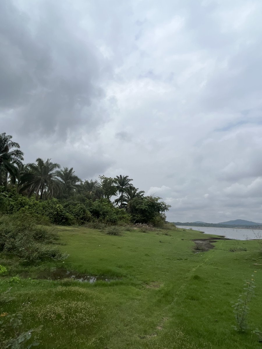 TimithegoatTTG🎯 tweet media