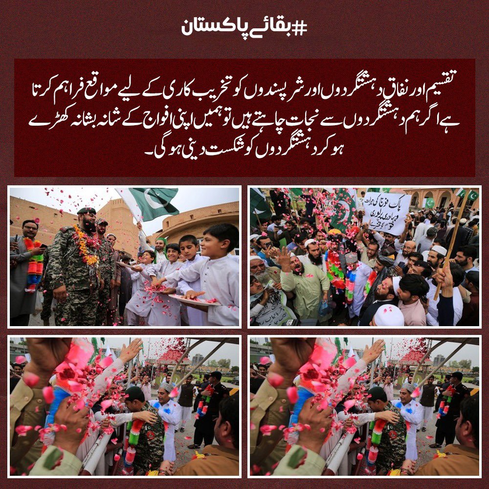 Palwasha Afridi tweet media