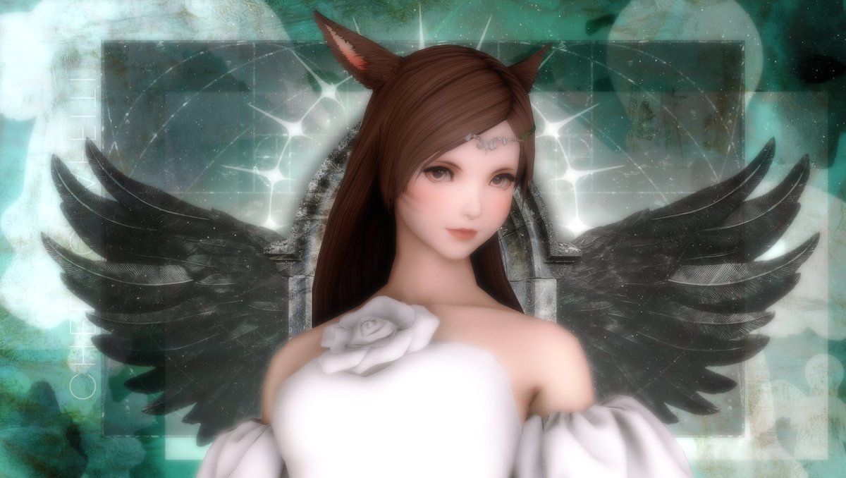 𝑪𝒉𝒆𝒍✨ tweet media