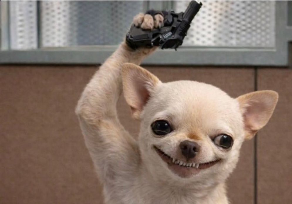 Têëtøõns 📉🗿 tweet media