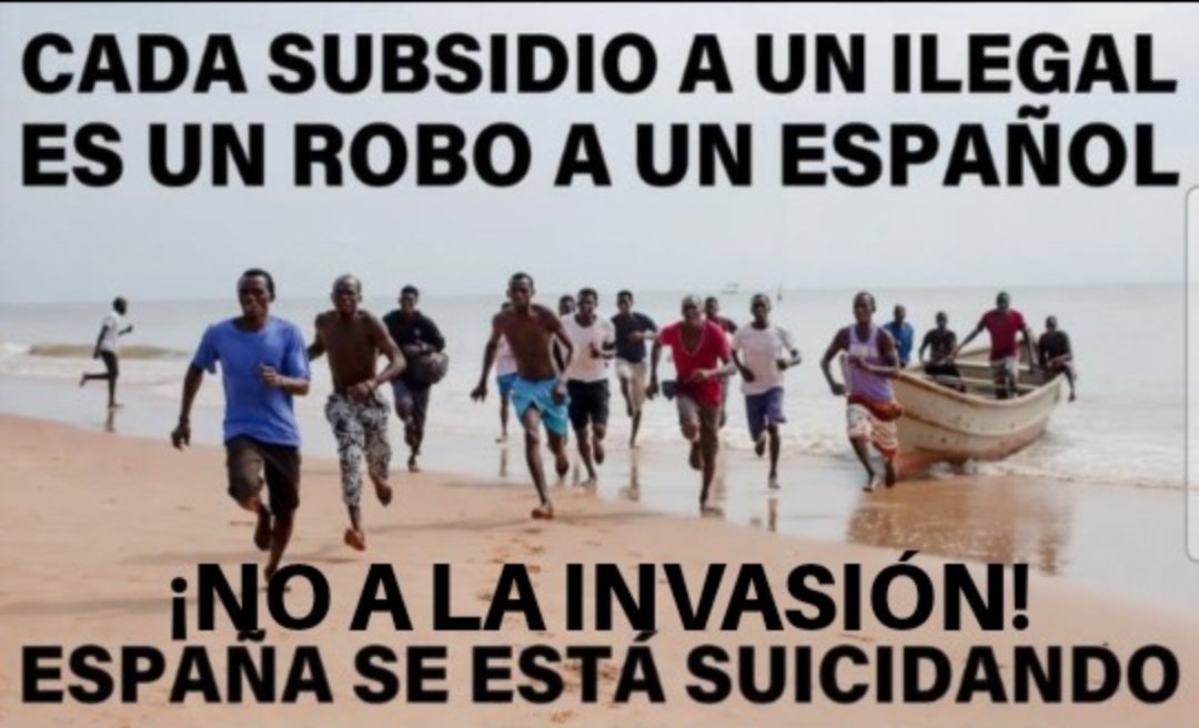 Francina de la Encina 🇪🇸V💚X🇪🇸 tweet media