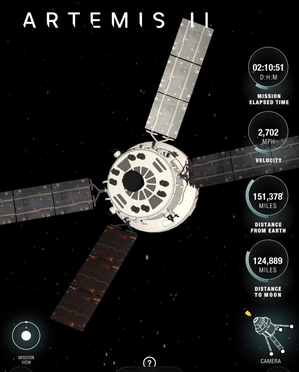 Hilla Haddad Chmelnik הילה חדד חמלניק tweet media