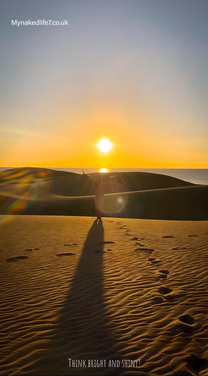 Wil.Nakedlife7 tweet media