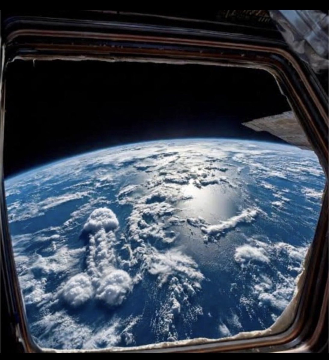 Jarvis McNigget tweet media