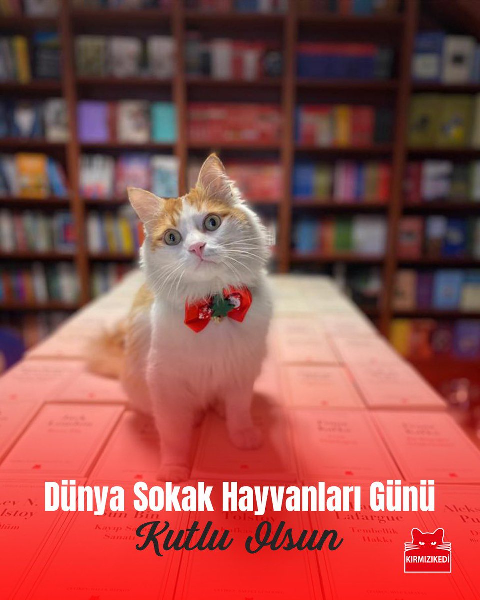 Kırmızı Kedi Yayınevi tweet media