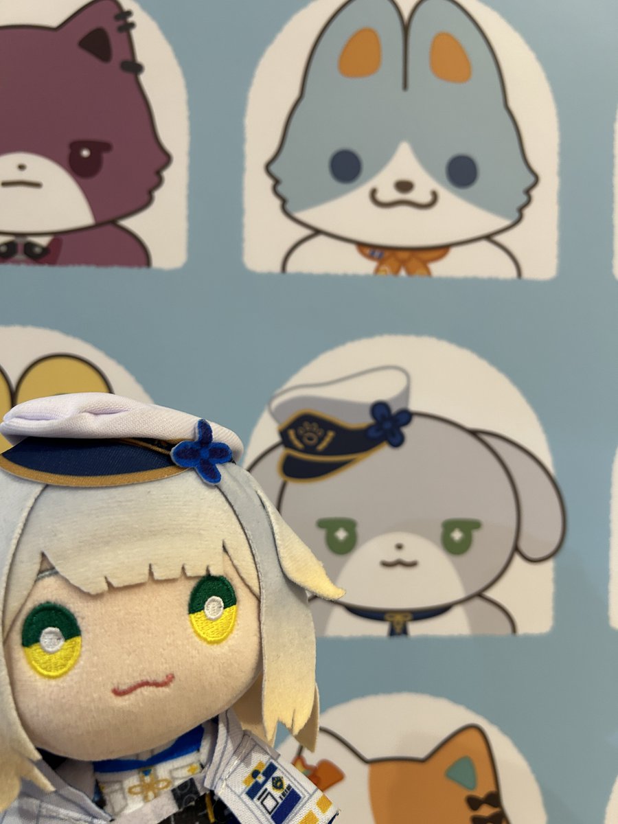 ようりょうせん tweet media