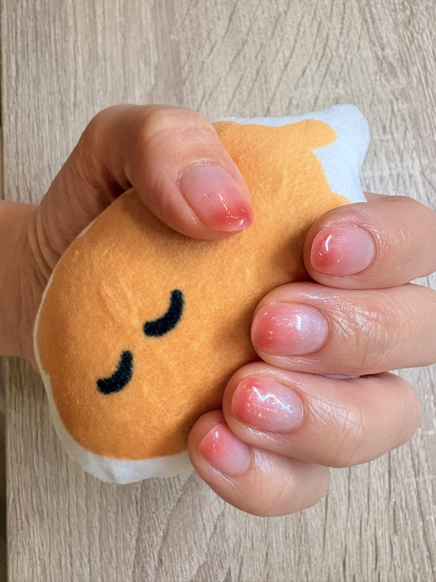 ｊｕｎｉ◡̈0318有明👑🐃 tweet media