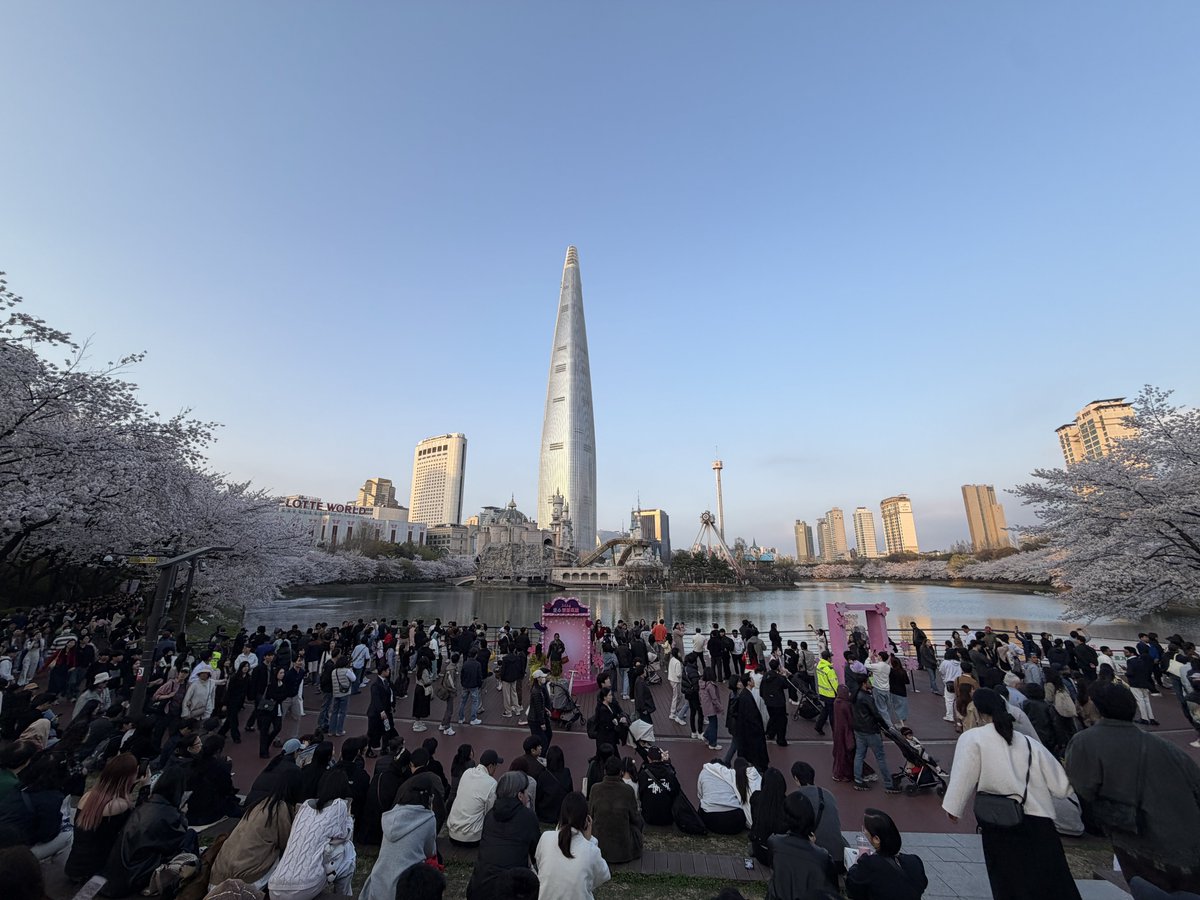 셰리프 tweet media