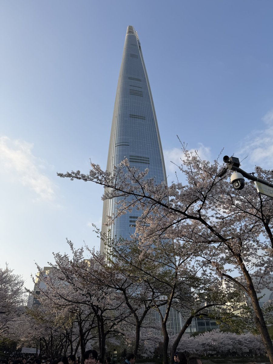 셰리프 tweet media