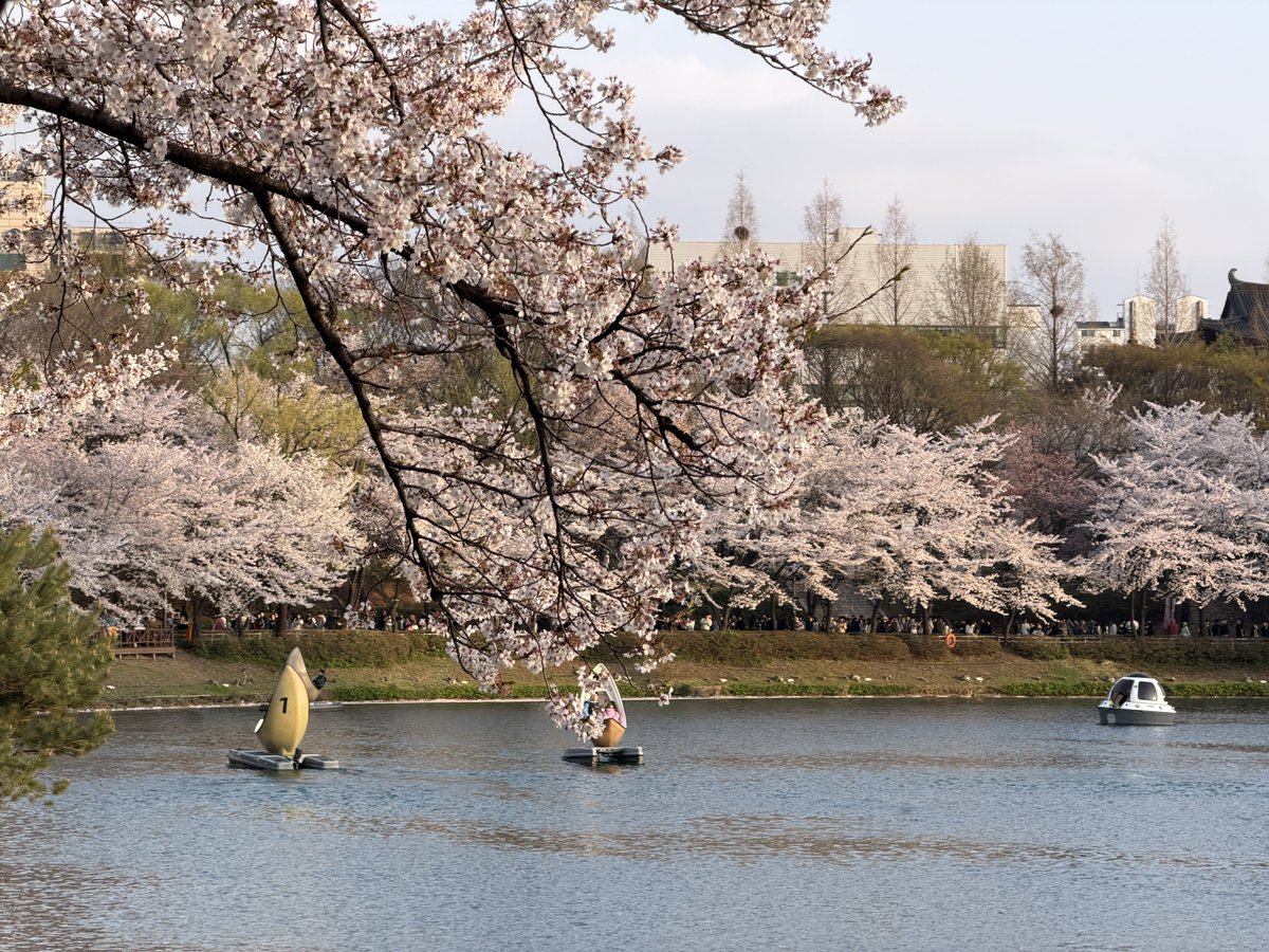 셰리프 tweet media