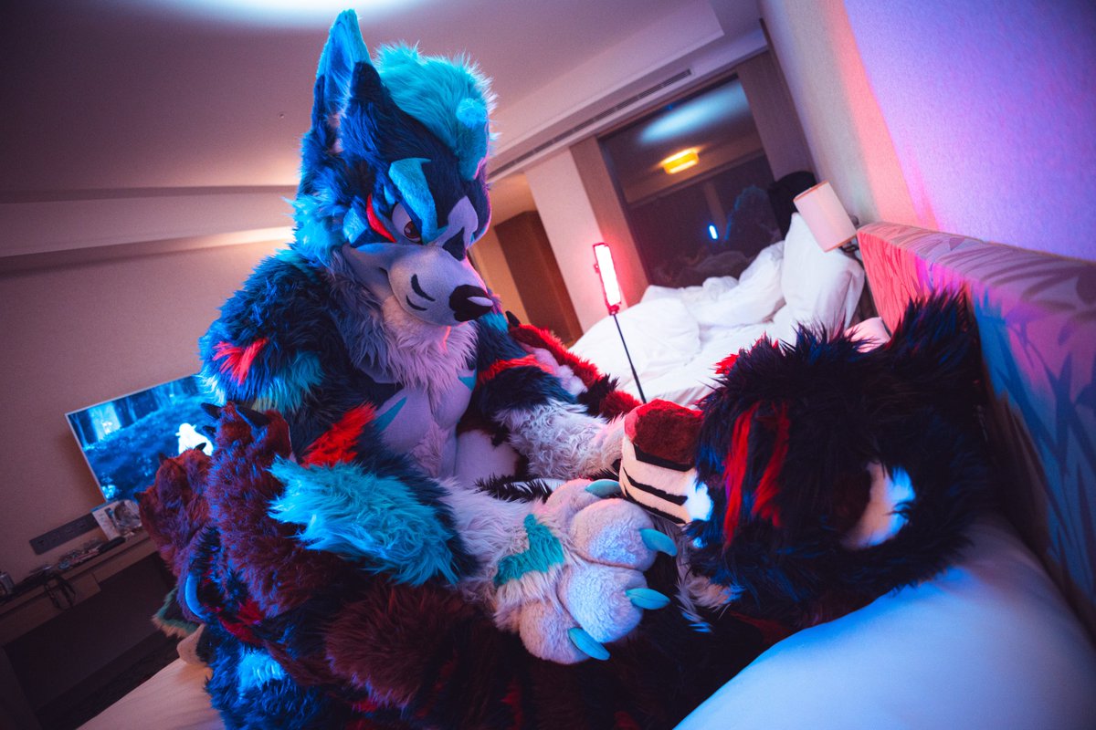 Zexas 🐾 tweet media