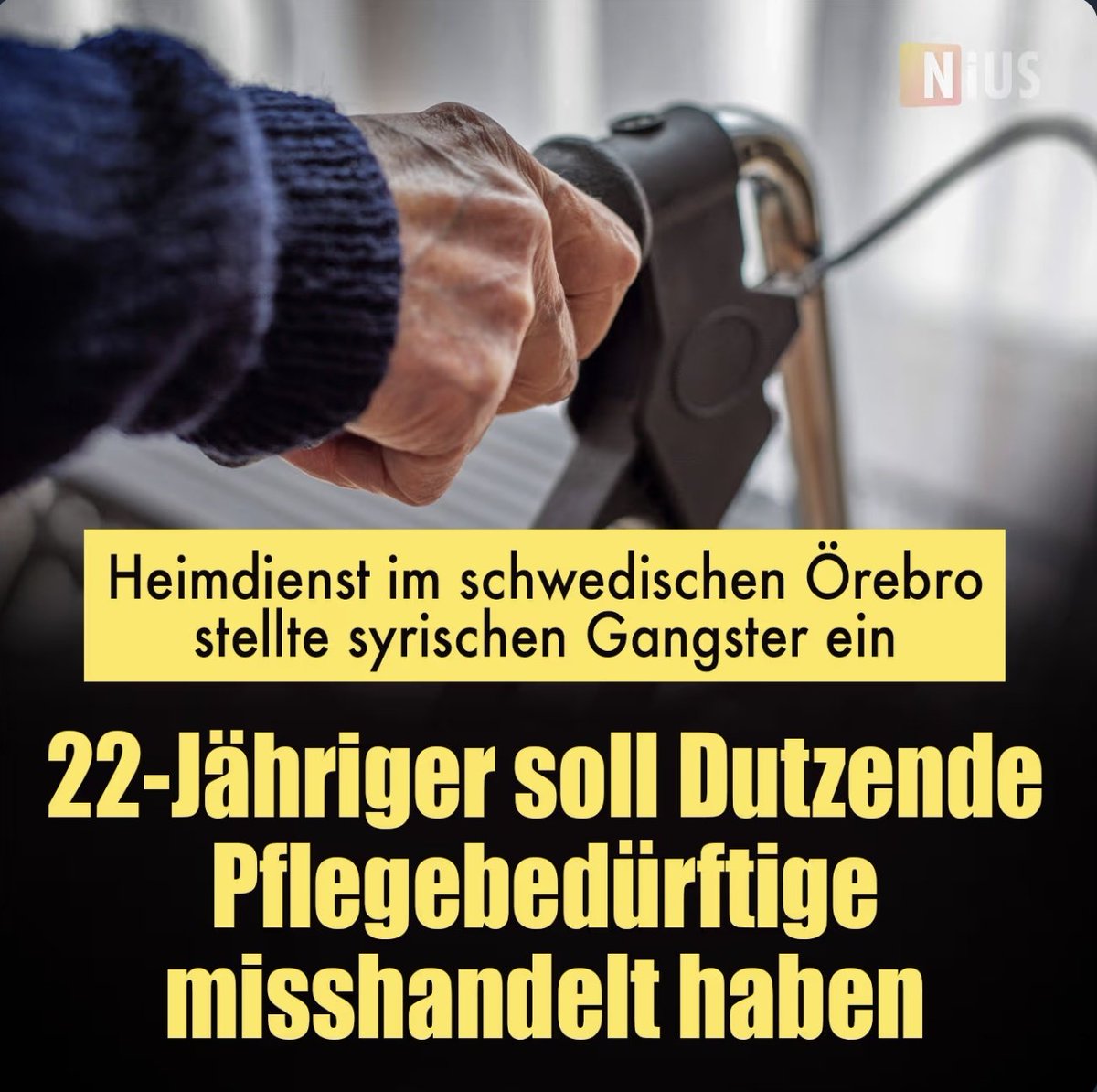 🇩🇪LilitThyra🩶 tweet media