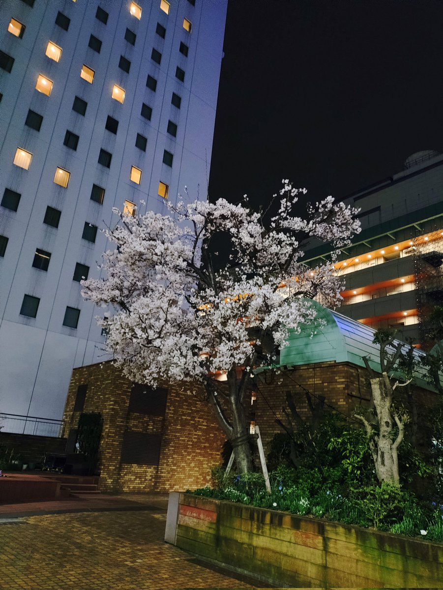 ヨシヲ tweet media