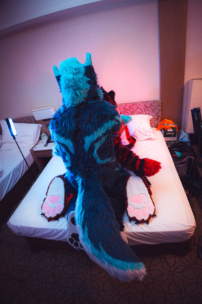 Zexas 🐾 tweet media