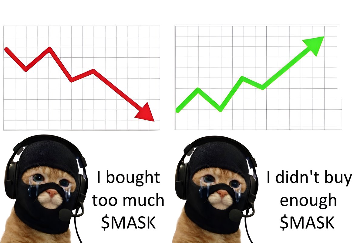 catwmask's tweet photo. Get locked in now, don’t regret later. 💯 https://t.co/5ArWe2AQS5